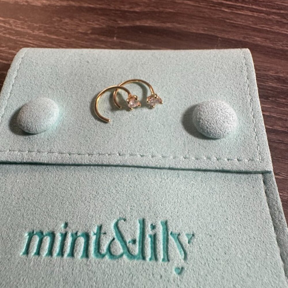 Mint & Lily Gold Dainty Diamond Threader Hoop Earrings